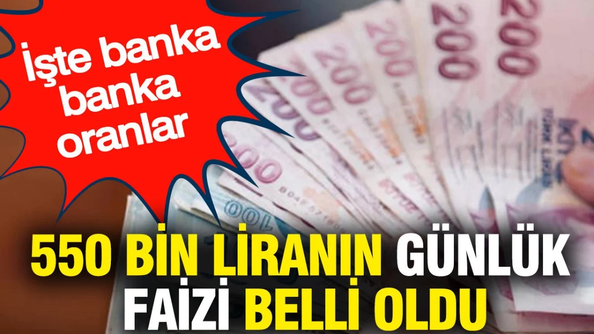 550 Bin TL’si Olanlara Müjde: Günlük Faiz Getirisi Banka Banka Hesaplandı